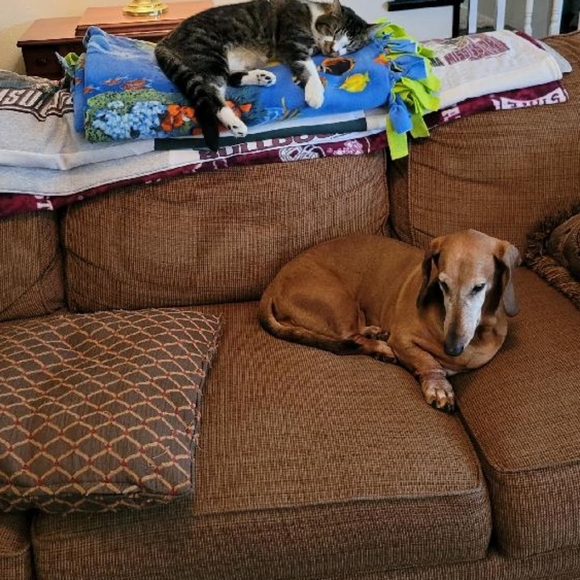 Meet Your Posher, Allie and Diane!! - Picture 4 of 8